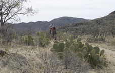 Ojo Caliente