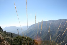El Coahuilon